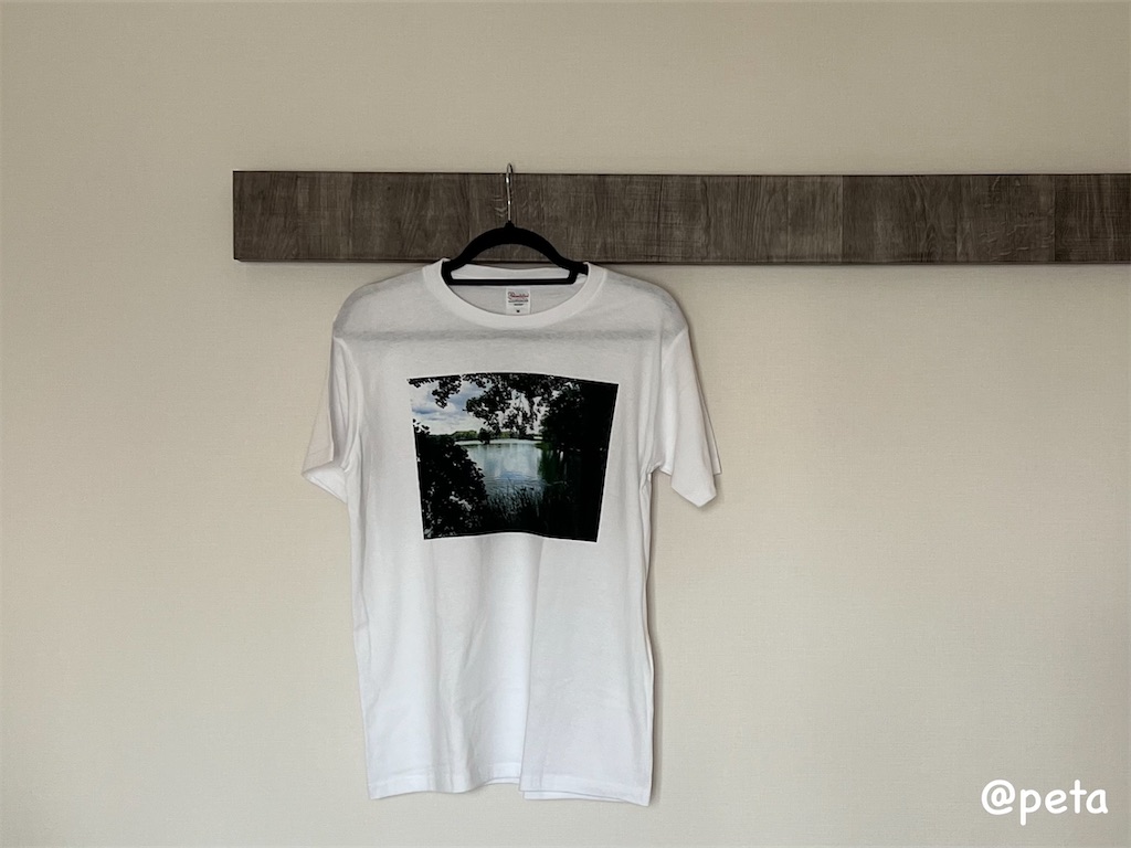 f:id:peta2o22:20240609022951j:image