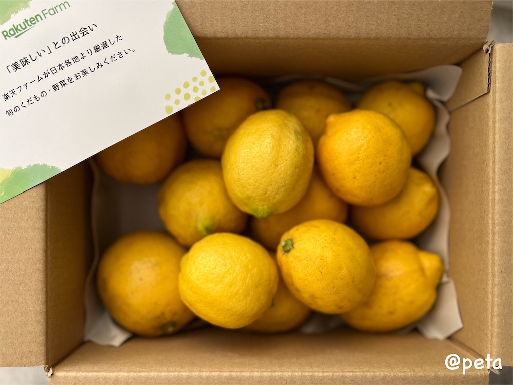 f:id:peta2o22:20240614141441j:image