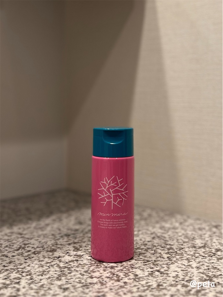 f:id:peta2o22:20240627173829j:image