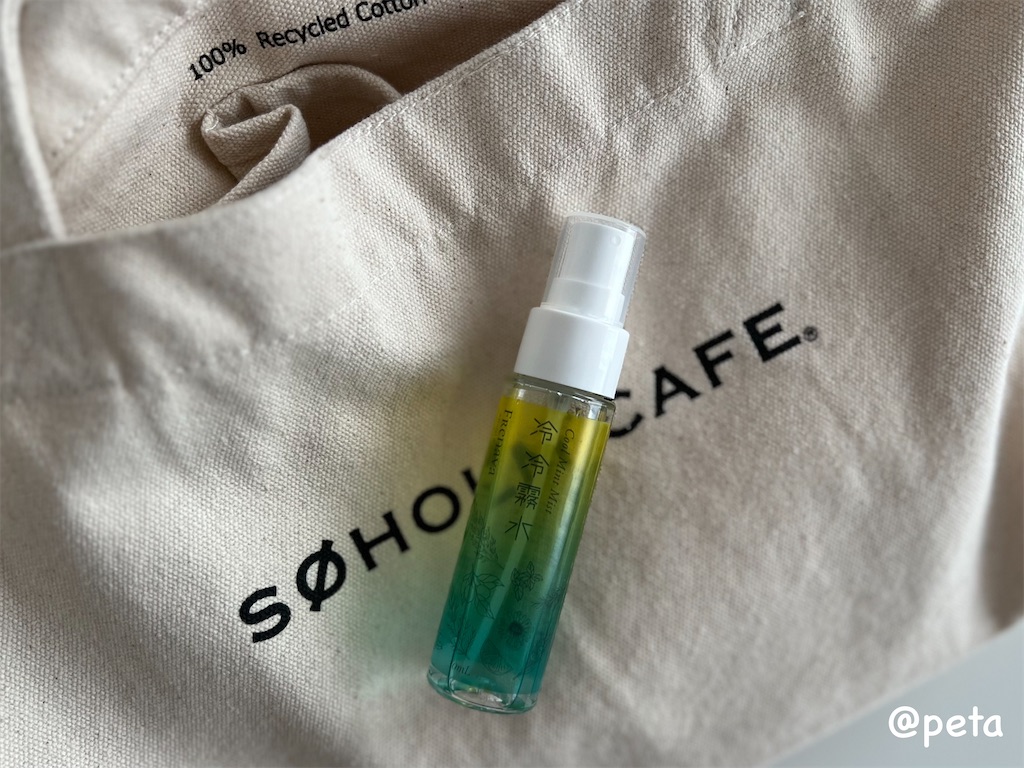 f:id:peta2o22:20240627173903j:image