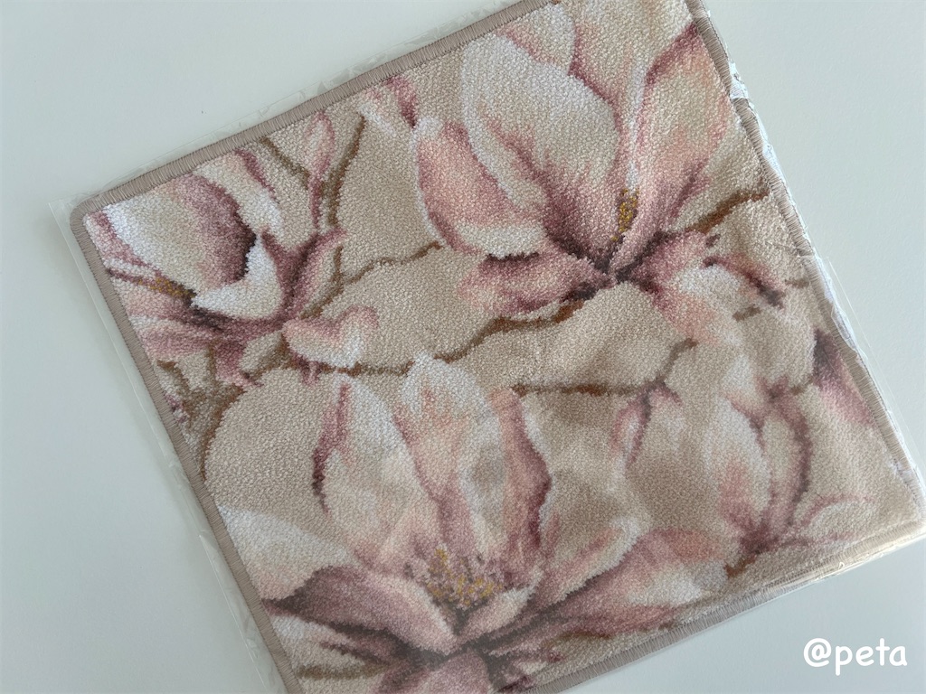 f:id:peta2o22:20240825192723j:image