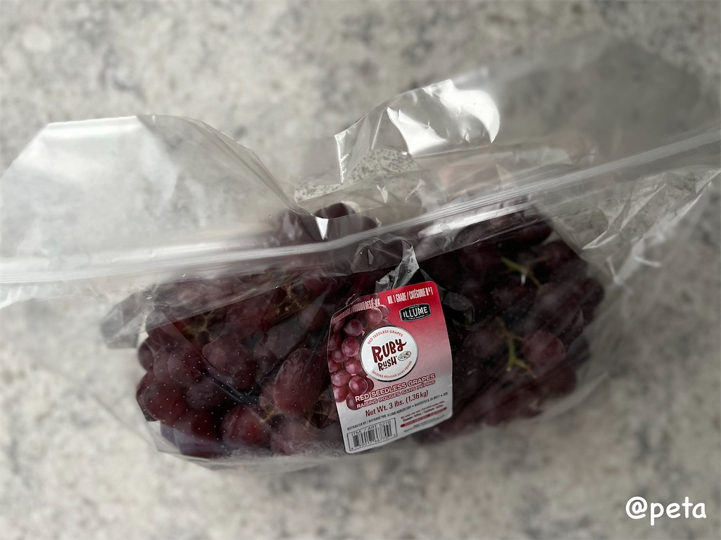 f:id:peta2o22:20240825192725j:image