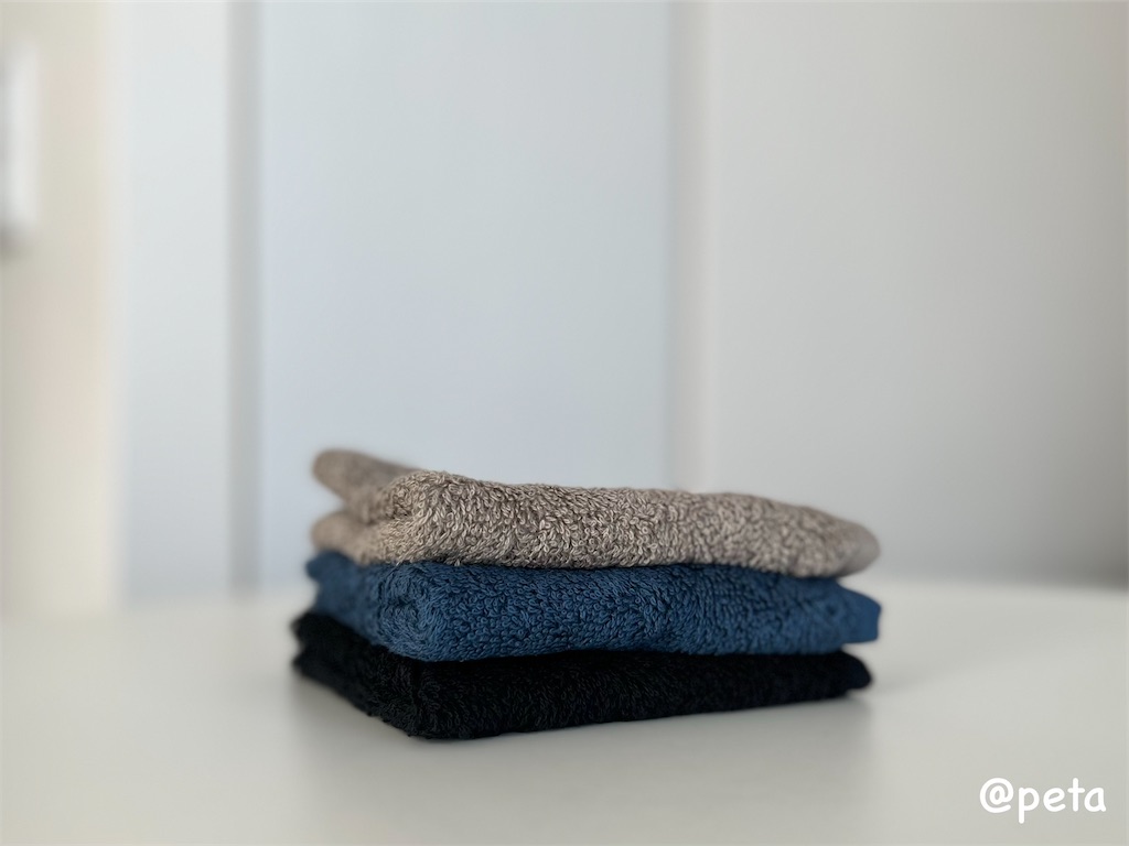 f:id:peta2o22:20240827122330j:image