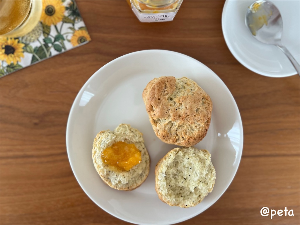 f:id:peta2o22:20240903132412j:image