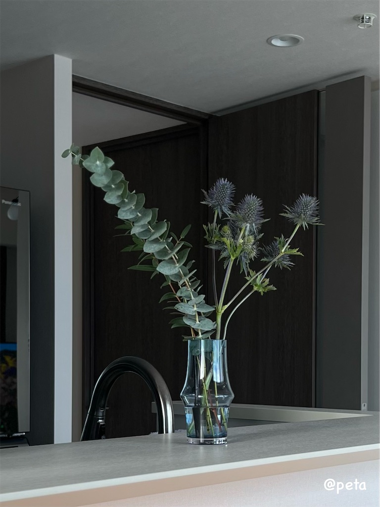 f:id:peta2o22:20241030143357j:image