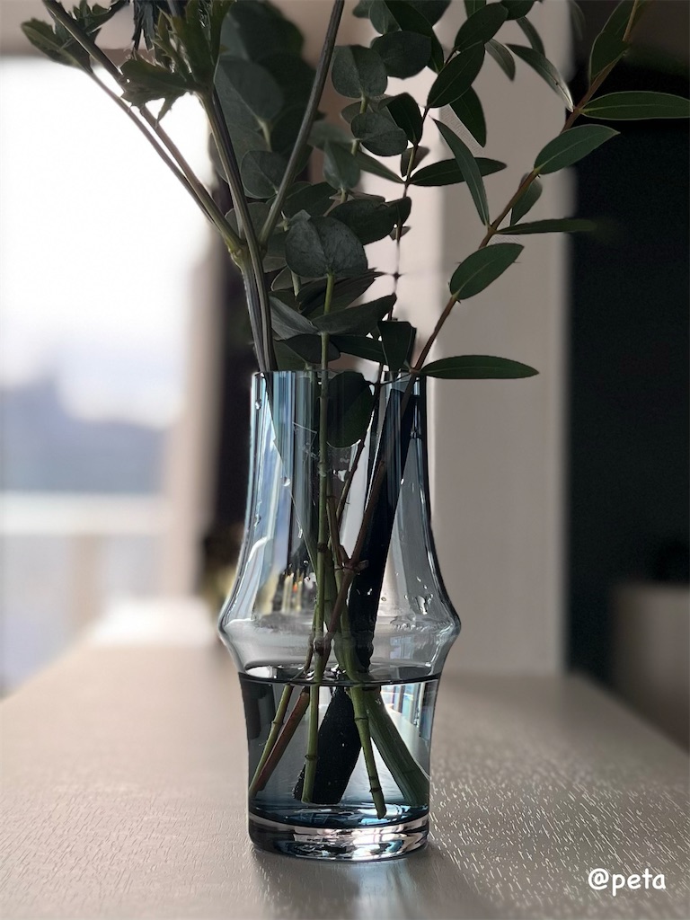 f:id:peta2o22:20241030143401j:image