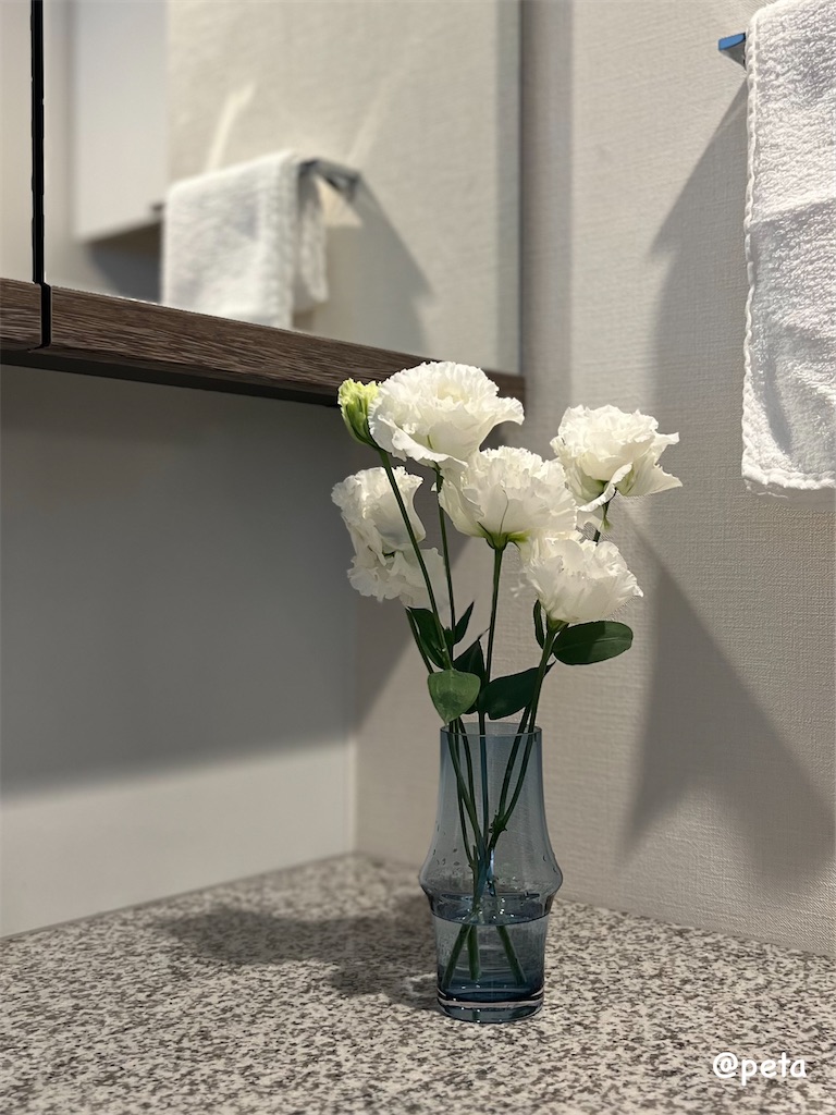 f:id:peta2o22:20241030143409j:image