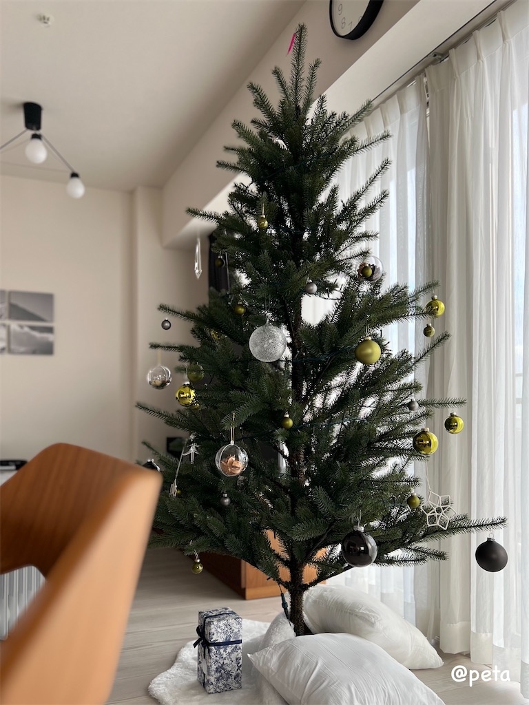 f:id:peta2o22:20241121143124j:image