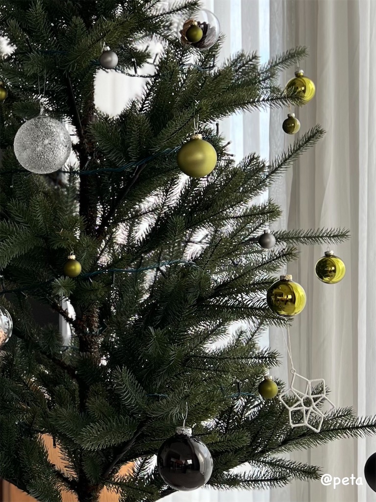 f:id:peta2o22:20241121143130j:image