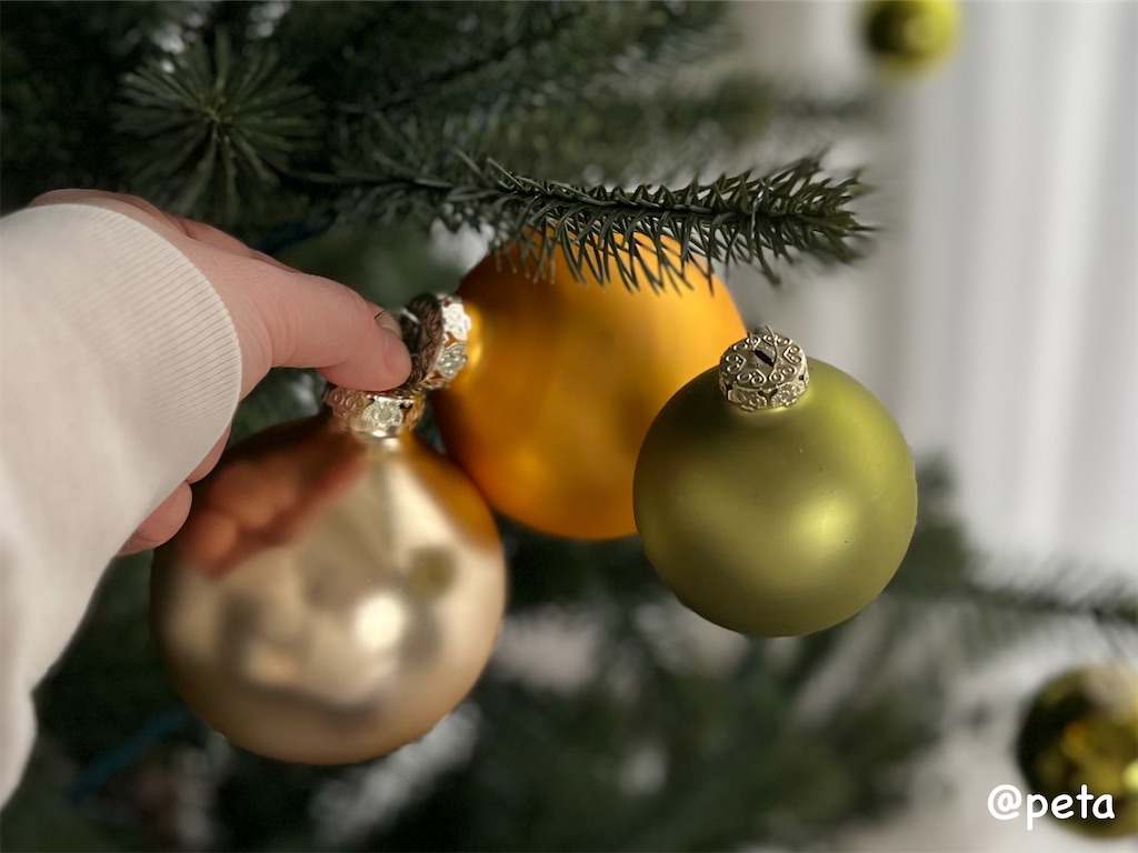 f:id:peta2o22:20241121151546j:image