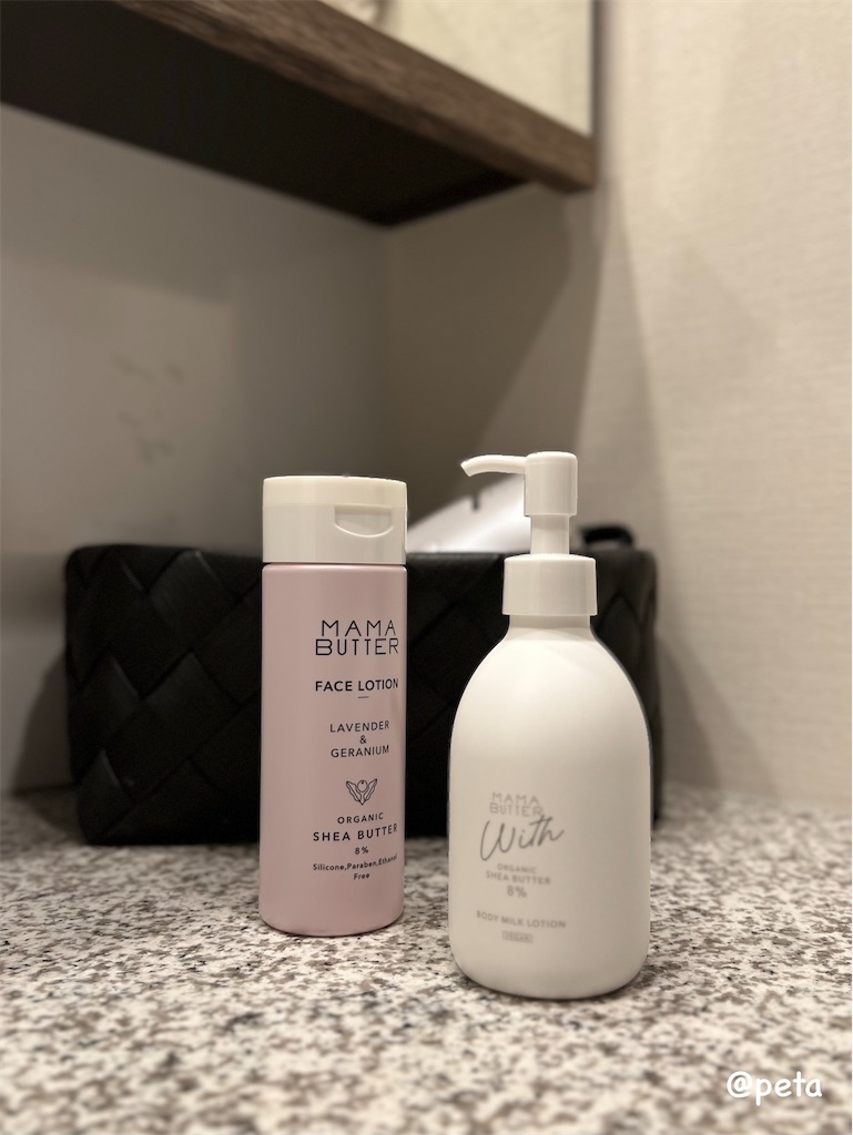 f:id:peta2o22:20241219084656j:image