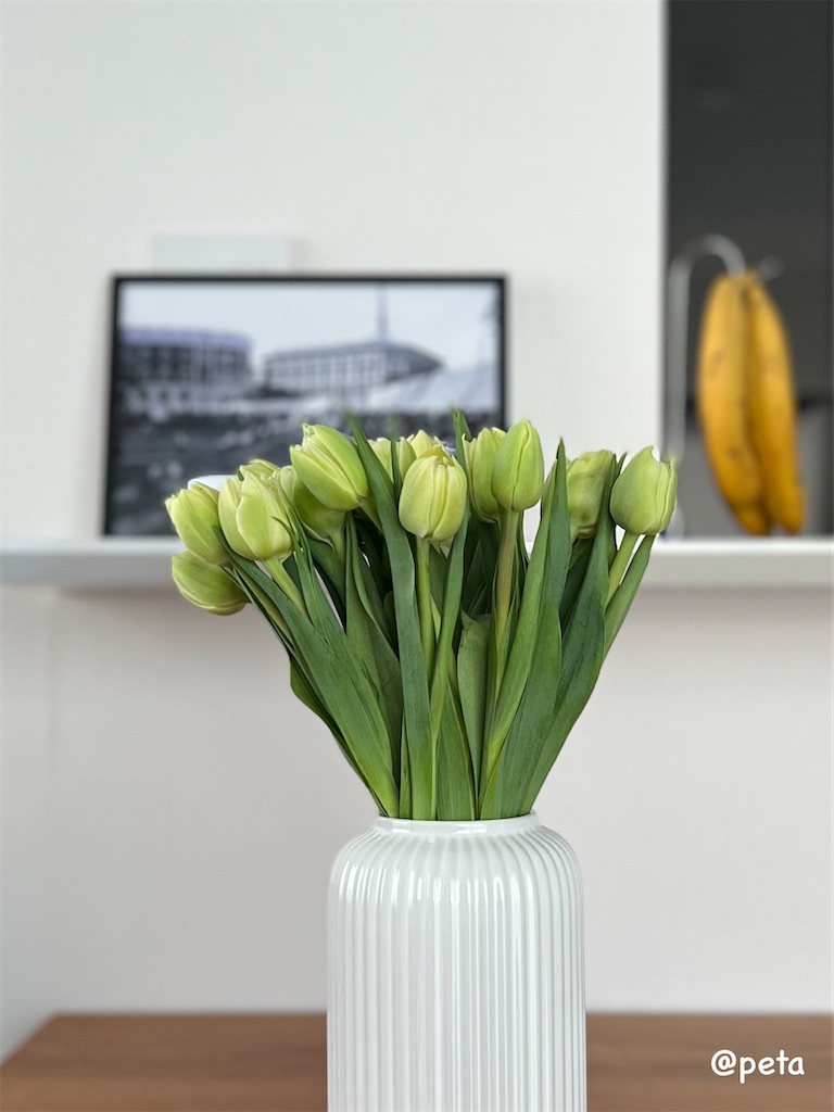 f:id:peta2o22:20241228153552j:image