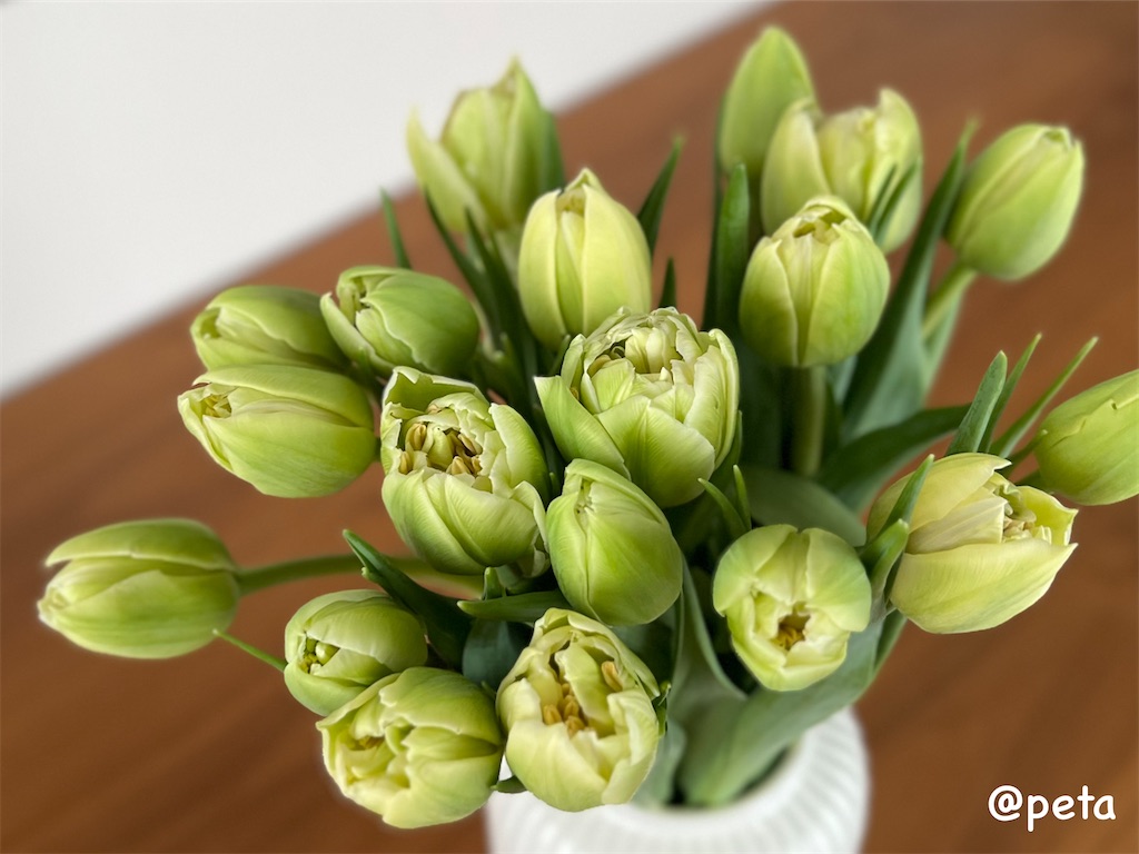 f:id:peta2o22:20241228153559j:image