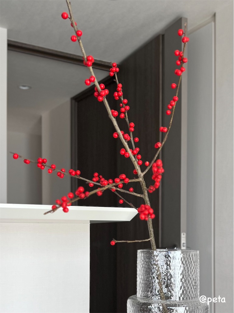 f:id:peta2o22:20250101190541j:image