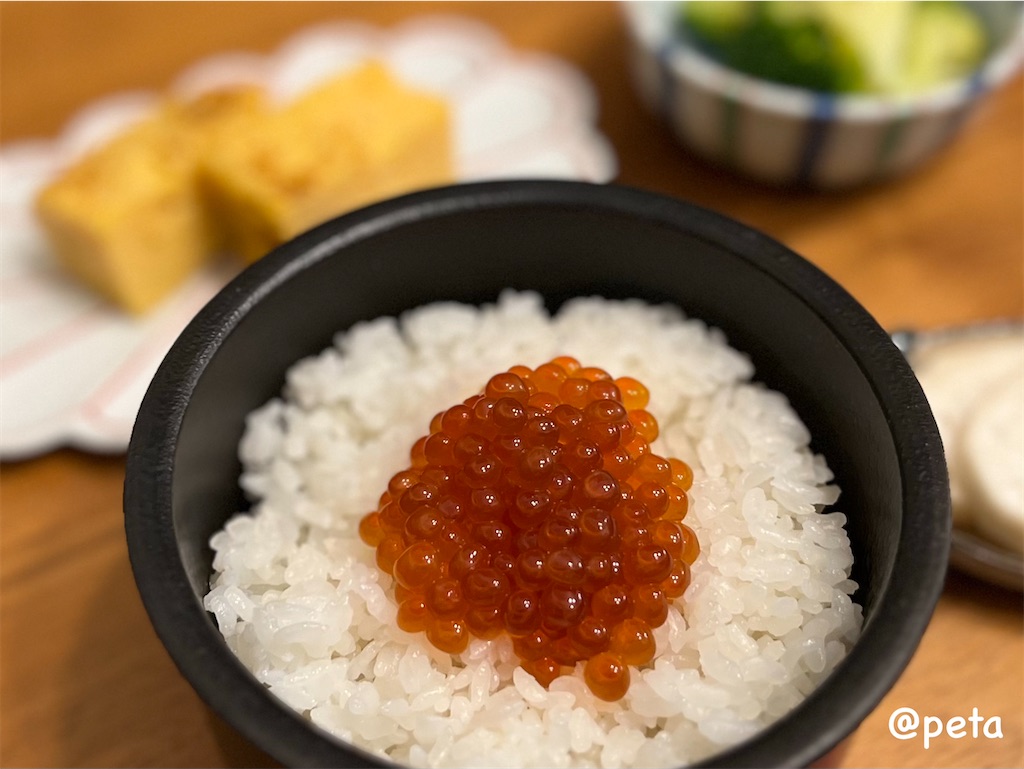 f:id:peta2o22:20250101190555j:image