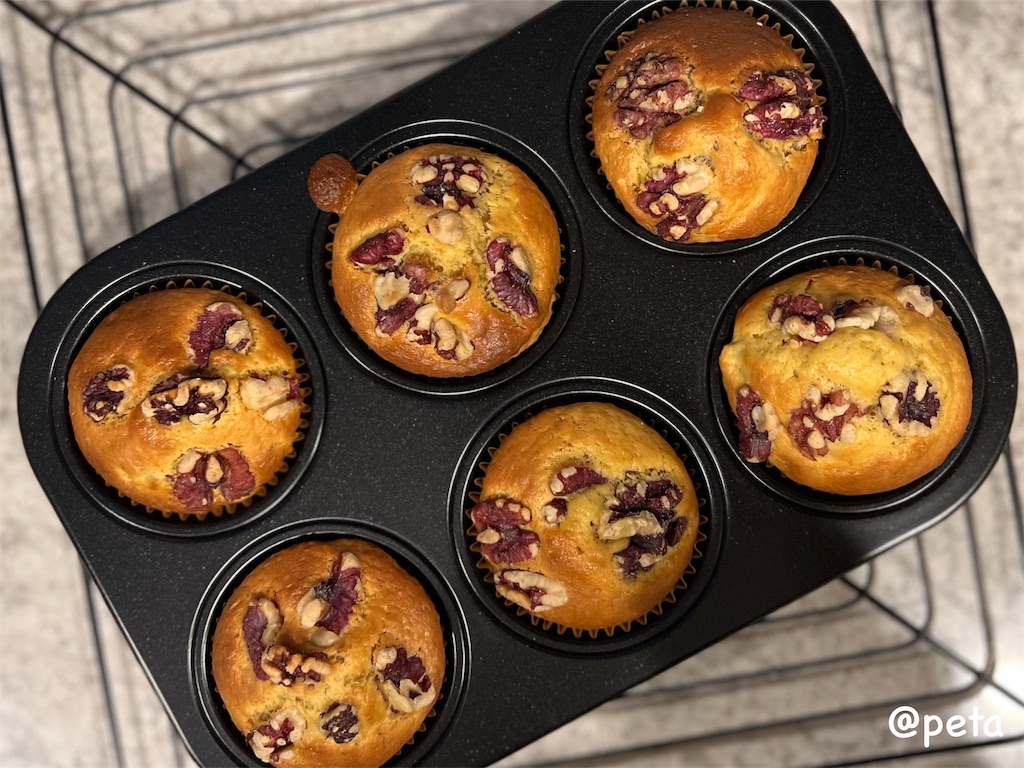 f:id:peta2o22:20250107124415j:image