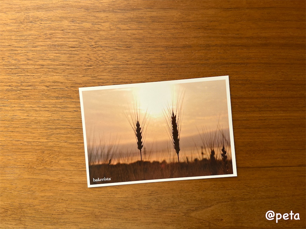 f:id:peta2o22:20250301170049j:image