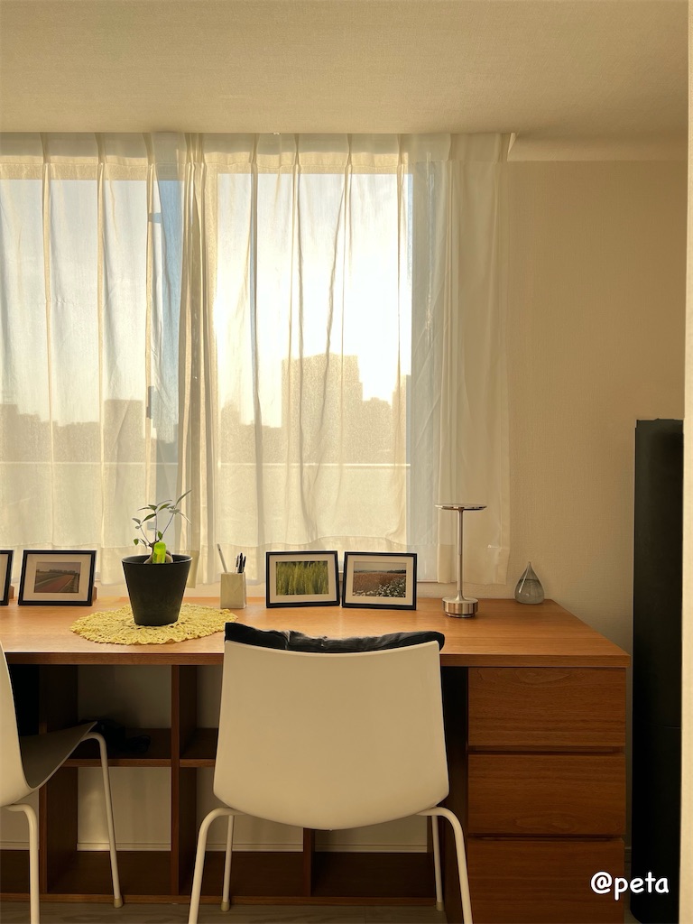 f:id:peta2o22:20250301170053j:image