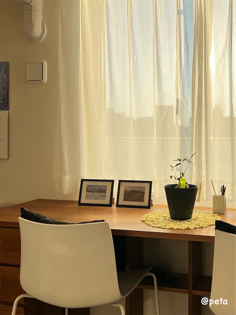 f:id:peta2o22:20250301170057j:image