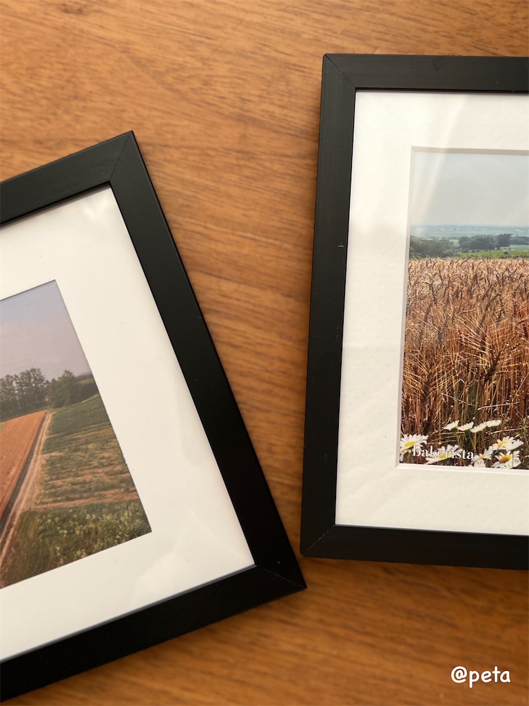 f:id:peta2o22:20250301170104j:image