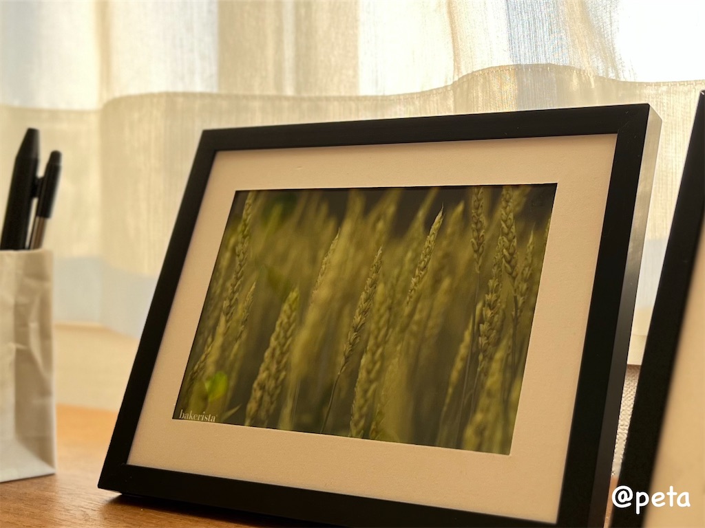 f:id:peta2o22:20250301170107j:image