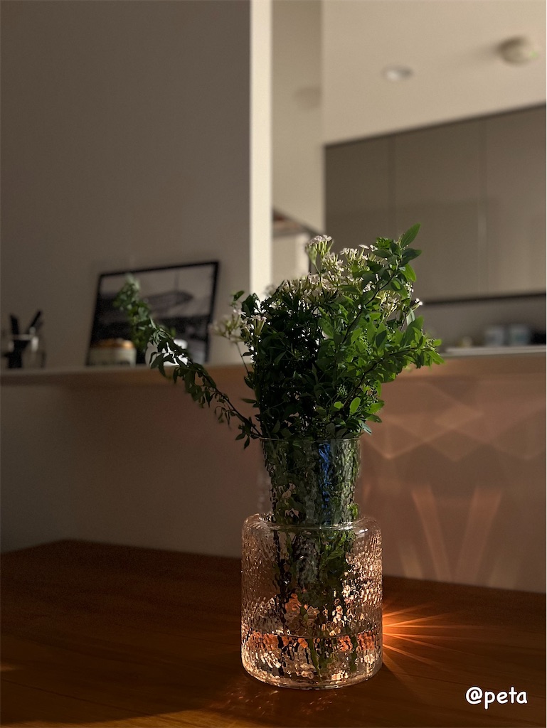 f:id:peta2o22:20250302183657j:image