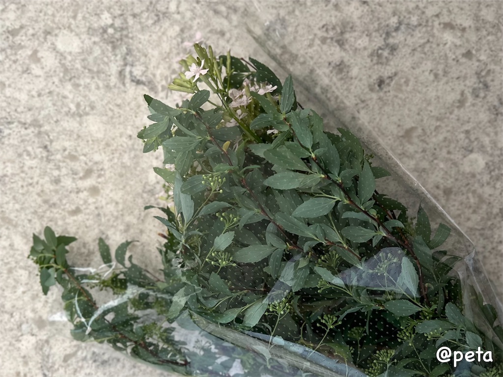 f:id:peta2o22:20250302183704j:image