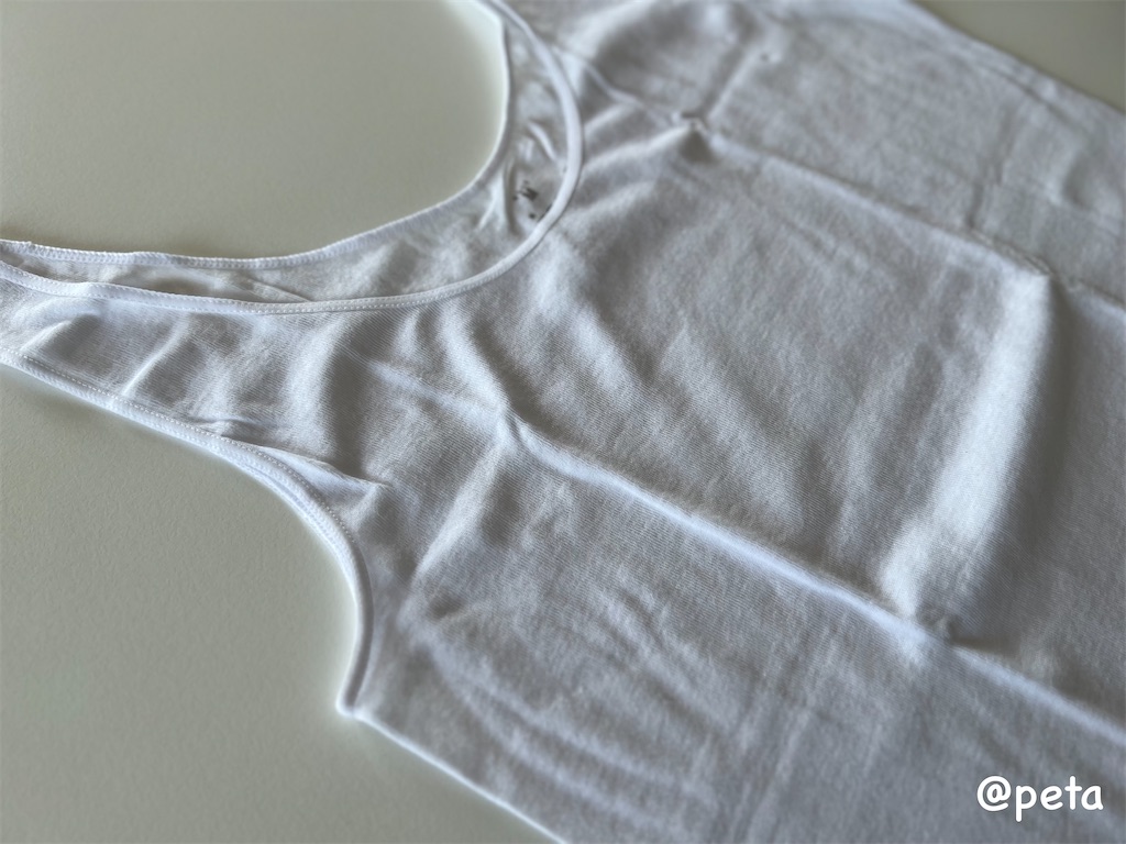 f:id:peta2o22:20250321141008j:image