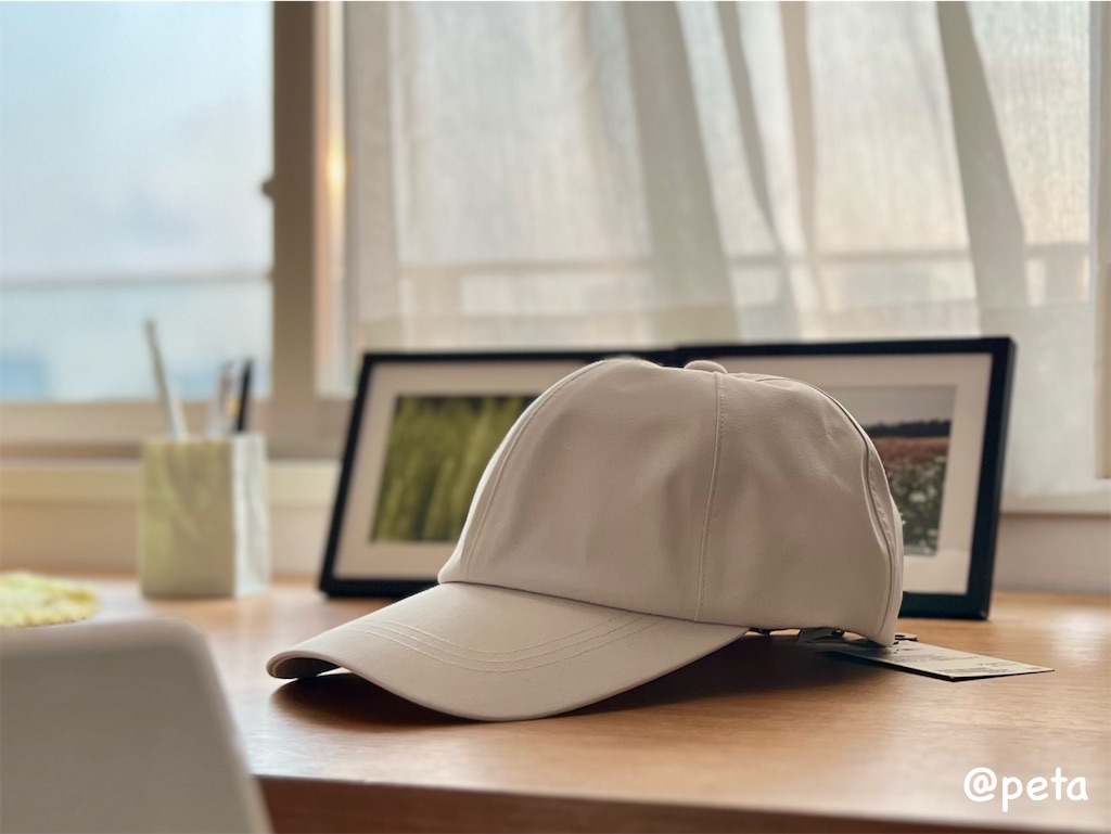 f:id:peta2o22:20250325152420j:image