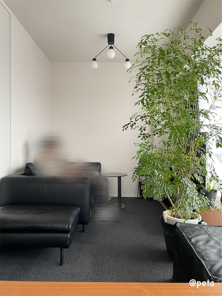 f:id:peta2o22:20250513180609j:image