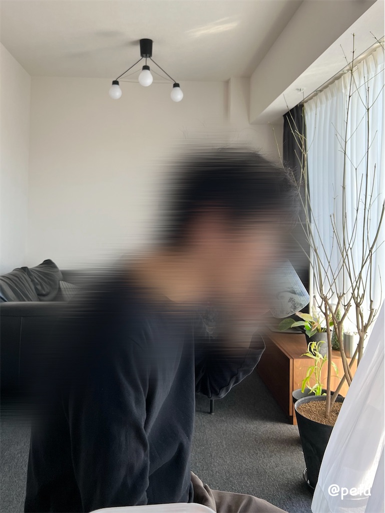 f:id:peta2o22:20250513180614j:image