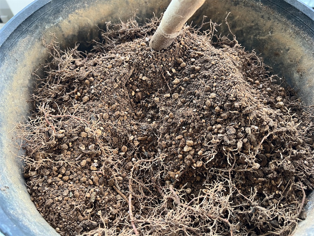 f:id:peta2o22:20250513180850j:image