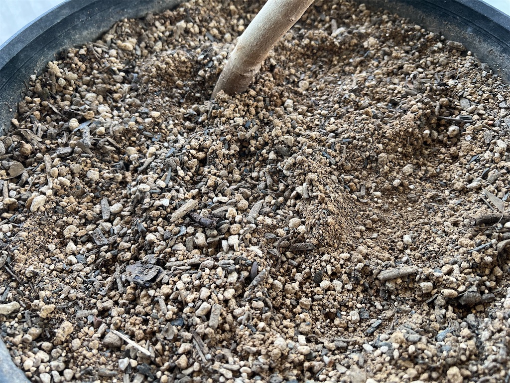 f:id:peta2o22:20250513180901j:image