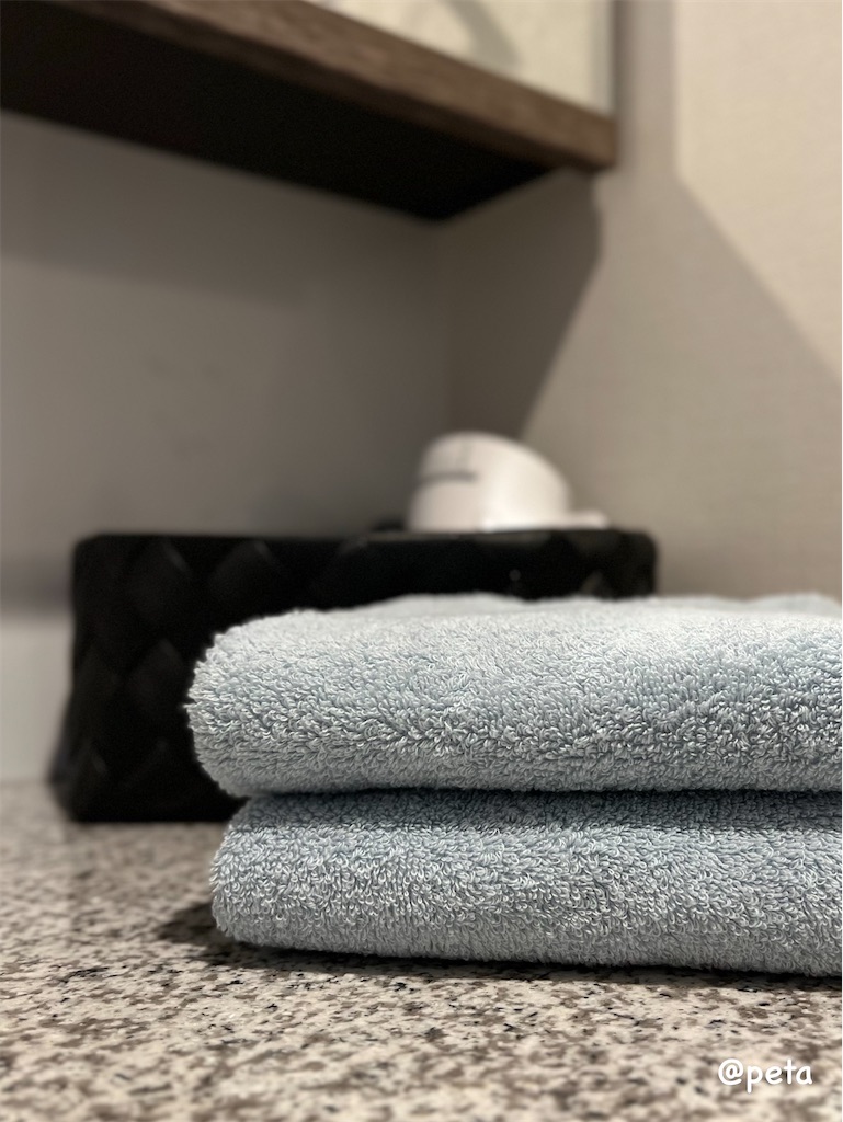 f:id:peta2o22:20250609175702j:image