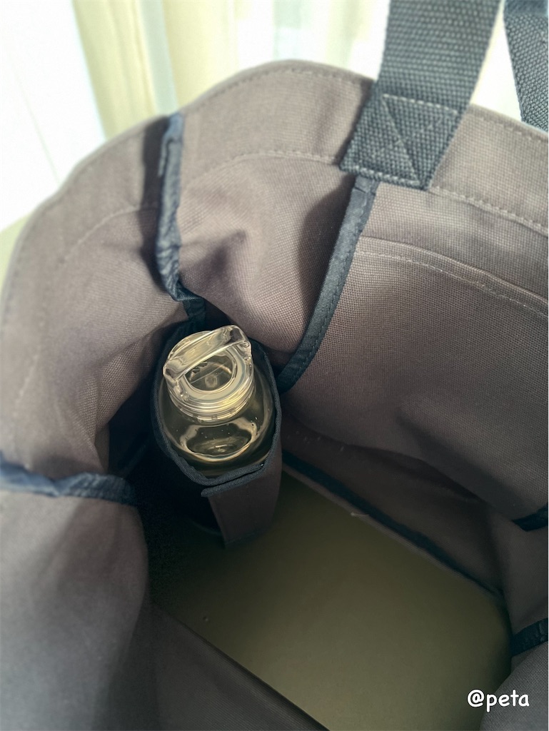 f:id:peta2o22:20250616183741j:image