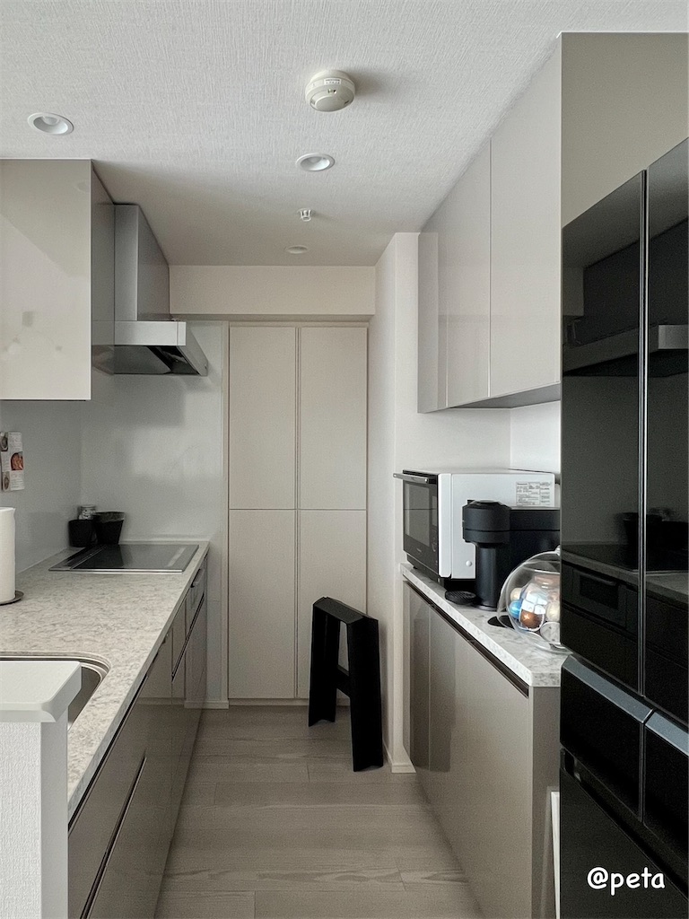 f:id:peta2o22:20250617172235j:image