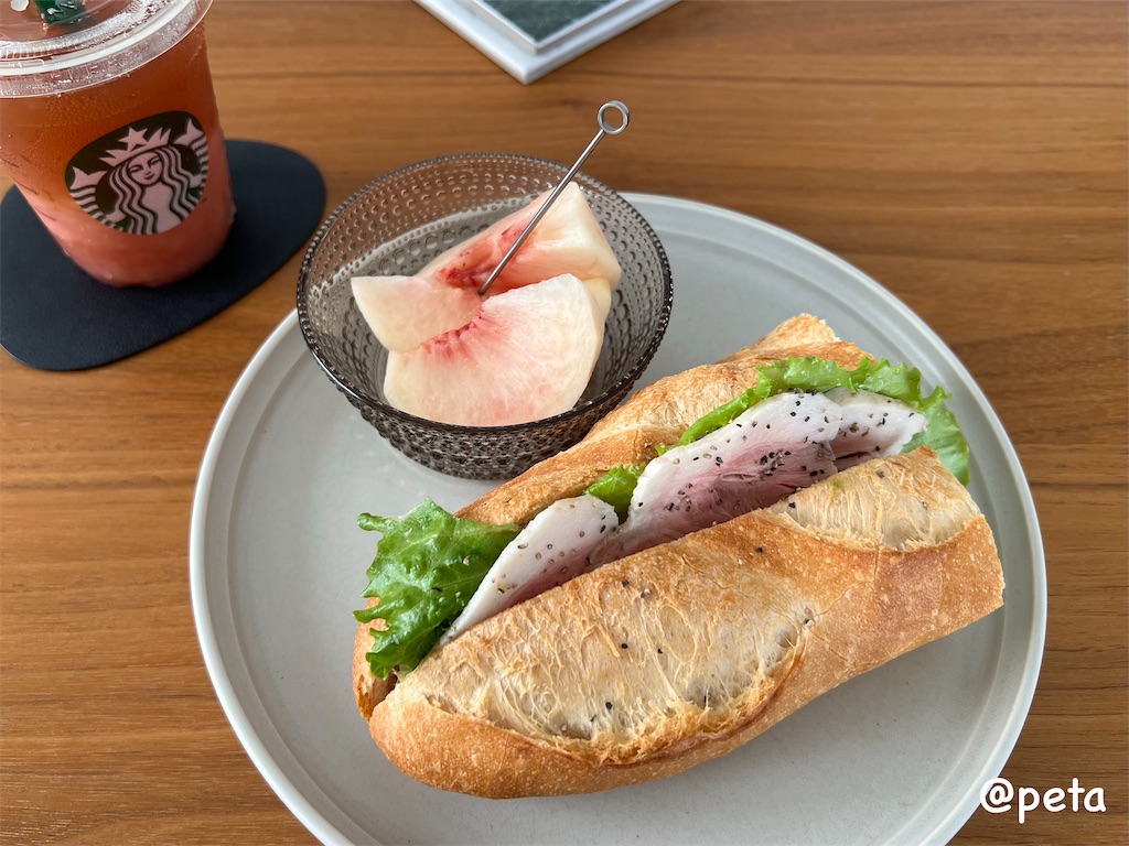 f:id:peta2o22:20250804091050j:image