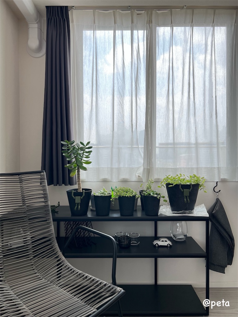 f:id:peta2o22:20250825140148j:image