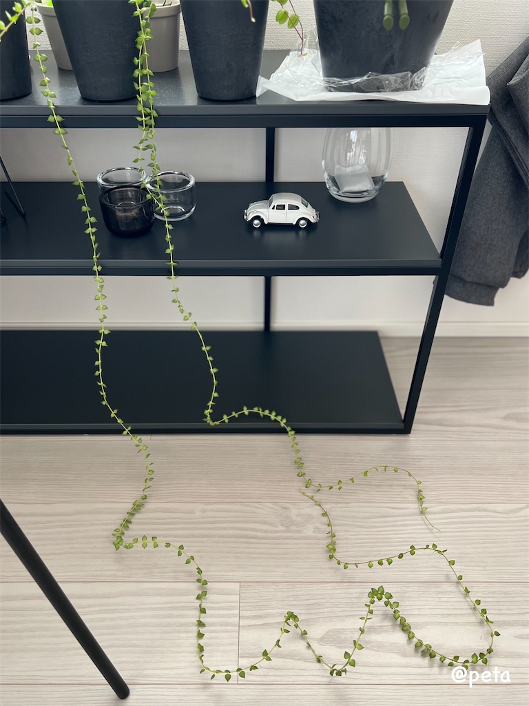 f:id:peta2o22:20250825140201j:image