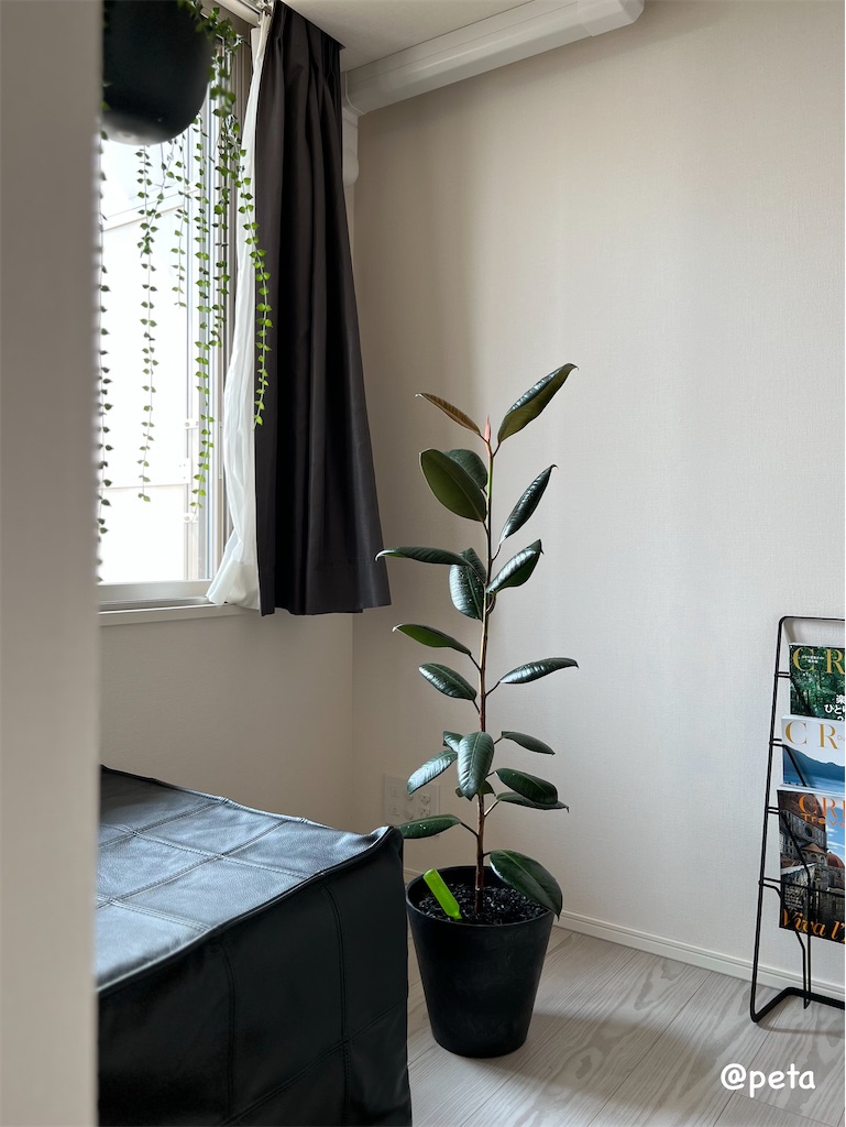 f:id:peta2o22:20250826124555j:image