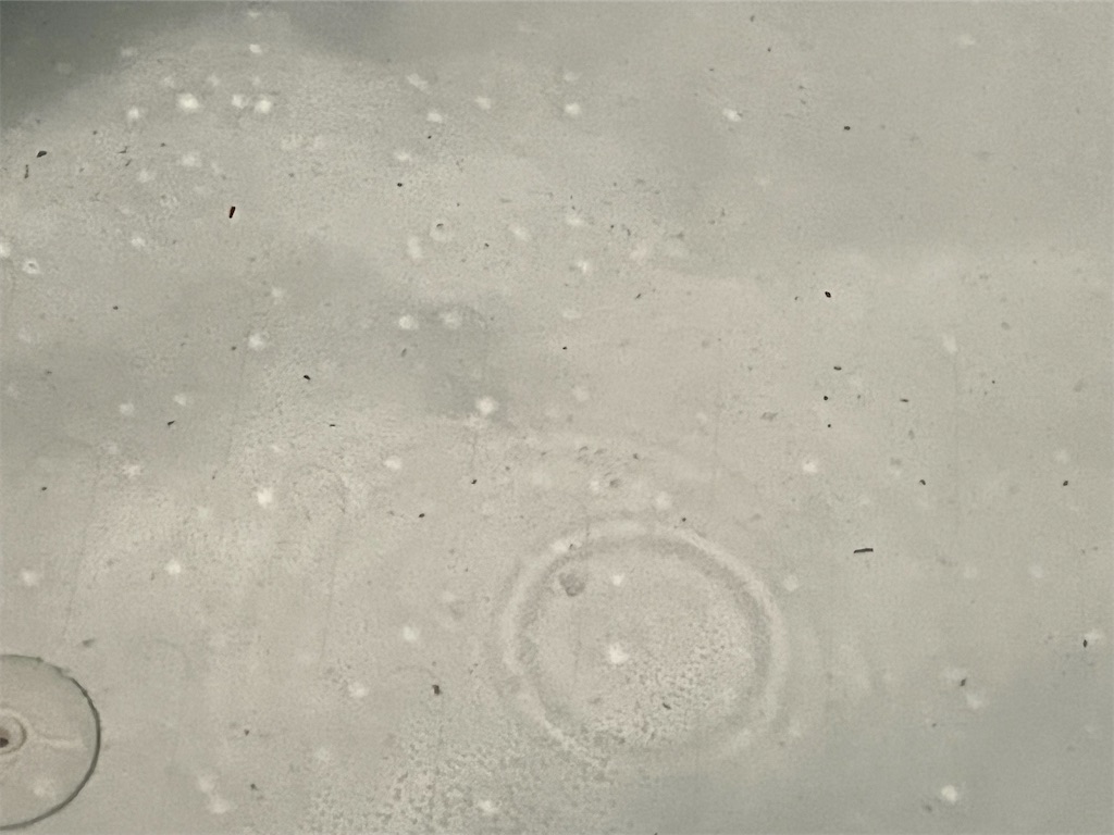 f:id:peta2o22:20250830154651j:image