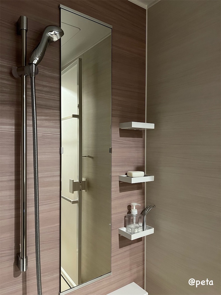 f:id:peta2o22:20250830163613j:image