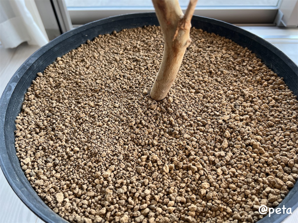 f:id:peta2o22:20250911141251j:image