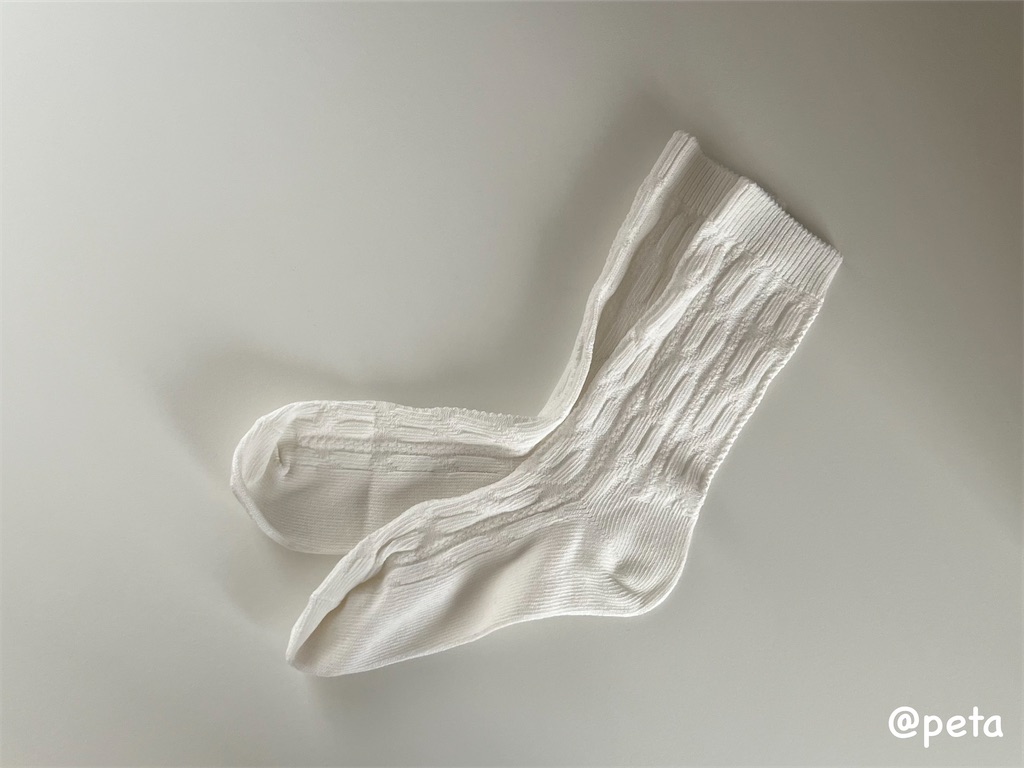 f:id:peta2o22:20251026230037j:image