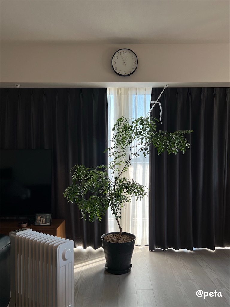 f:id:peta2o22:20251201153300j:image