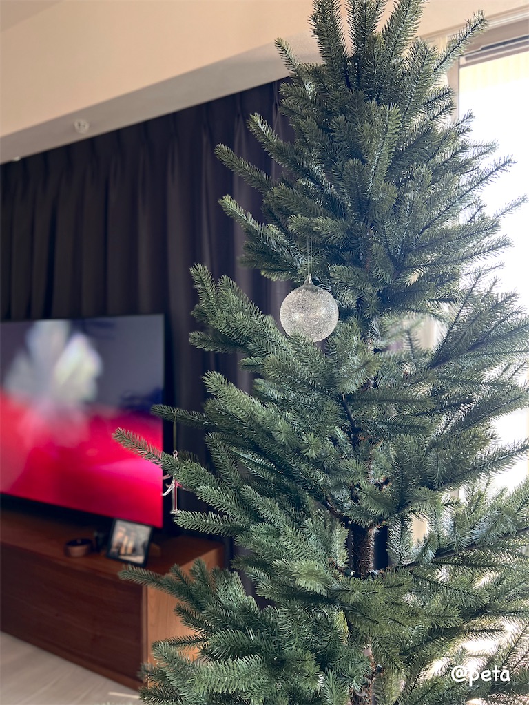 f:id:peta2o22:20251201153304j:image