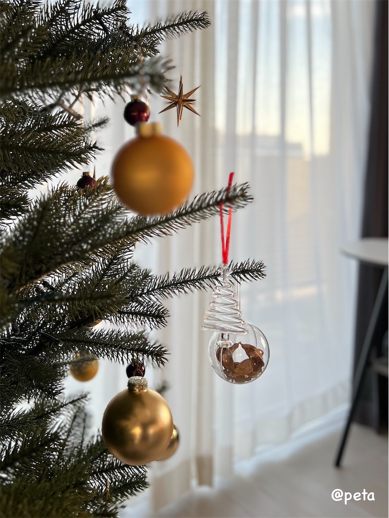 f:id:peta2o22:20251201153308j:image