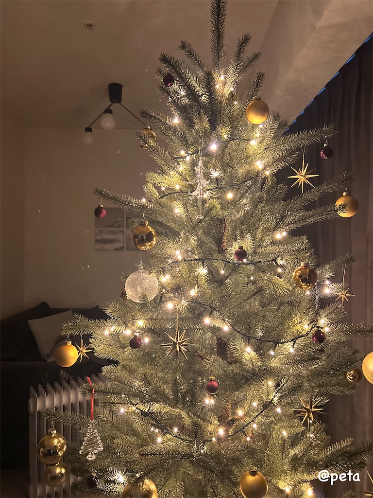 f:id:peta2o22:20251201163413j:image